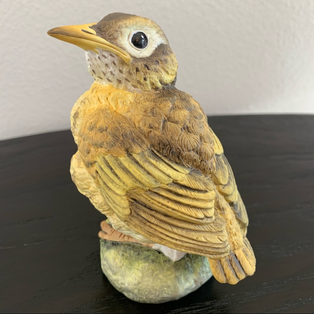Connoisseur of Malvern “Robin”